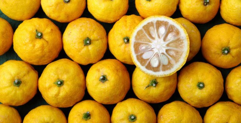 yuzu giapponese superfood