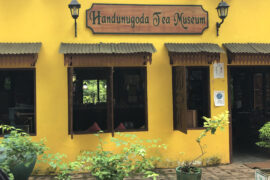Handunugoda Tea Estate